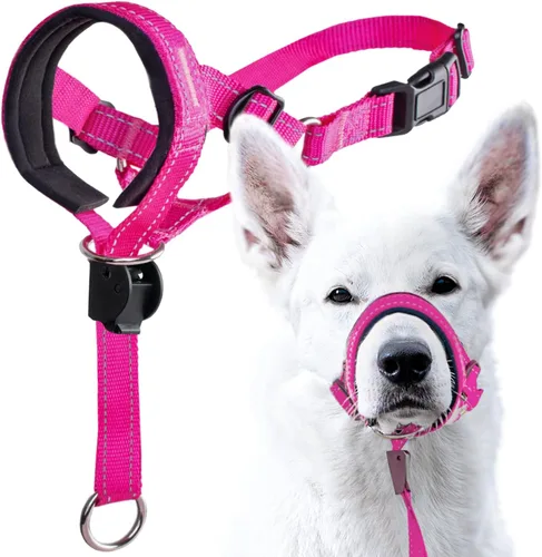 Vista 17 de GoodBoy Cabestro de cabeza de perro con correa de seguridad – Detiene los tirones pesados de la correa – Collar acolchado para perros pequeños