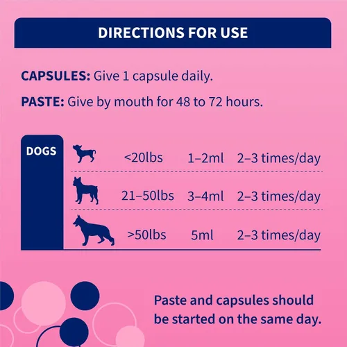 Vista 6 de Nutramax Proviable Probióticos para Perros, Kit de Apoyo para la Diarrea, Suplemento para la Salud Digestiva con Múltiples Cepas de Bacterias, Más