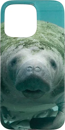 Vista 31 de Manatee Case for iPhone 17