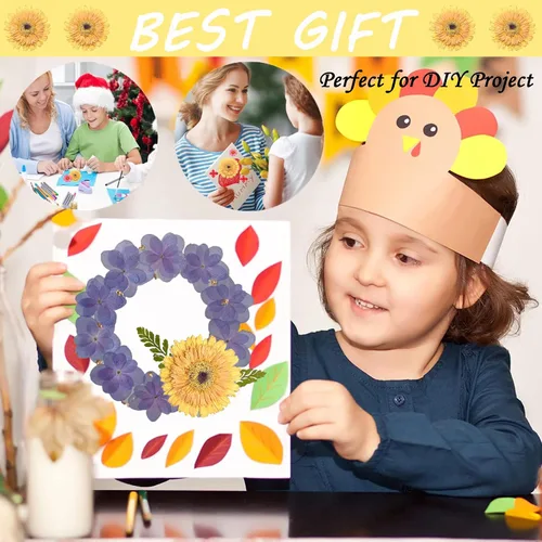 Vista 7 de ALJ Girasoles secos amarillos dorados de gran tamaño para adornos de manualidades, margarita africana prensada real natural para resina, bricolaje