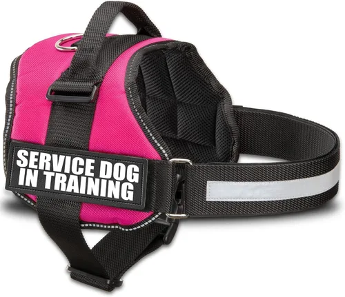 Vista 11 de Industrial Puppy Arnés de chaleco de entrenamiento para perro de servicio, XXXS 11.5-13 pulgadas, rojo Rojo Brillante