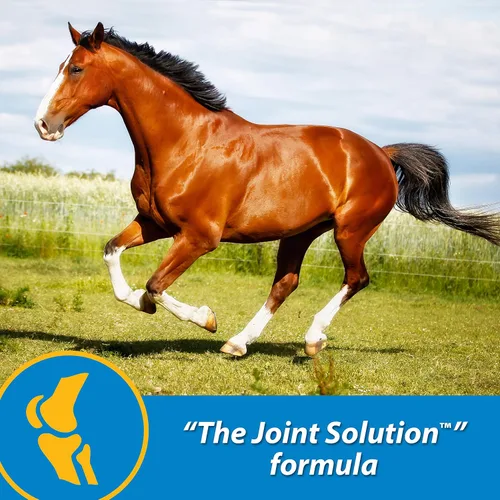 Vista 2 de Farnam Fluidflex Suplemento líquido para articulaciones para caballos, suministro para 128 días, 128 onzas Liquid Joint Supplement for Horses