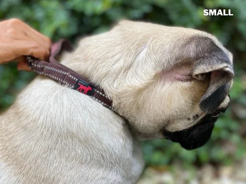 Vista 6 de Tuff Pupper Collar de perro resistente con asa Collar de nailon balístico resistente Collar de perro reflectante acolchado con hardware