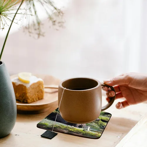 Vista 3 de 3dRose Brown Bear cub Staying Close to mom at ANAN Creek. Set of 4 Coasters - Cork