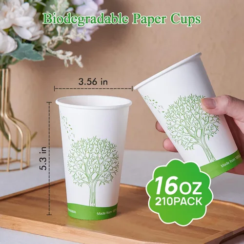 Vista 5 de ECOLipak 210 tazas compostables de 16 onzas, vasos de papel desechables biodegradables con forro de ácido poliláctico (PLA), tazas de café de papel