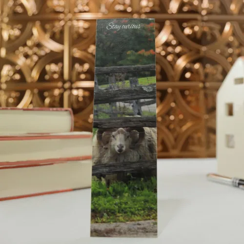 Vista 3 de Curious Sheep Bookmark, Original Photography, Book Lovers, Student, Teacher Gift, Set of 1