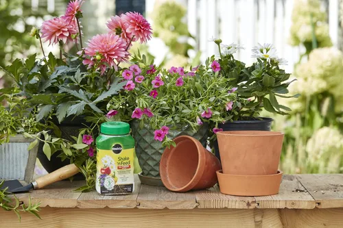 Vista 5 de Miracle-Gro Shake 'N Feed - Alimento vegetal multiusos, fertilizante para plantas, 1 libra (paquete de 6)