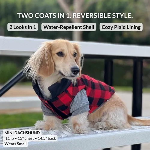 Vista 2 de DJANGO Abrigo de invierno reversible para perros con acolchado – Chaqueta de invierno cálida para perros y abrigo aislante repelente al agua