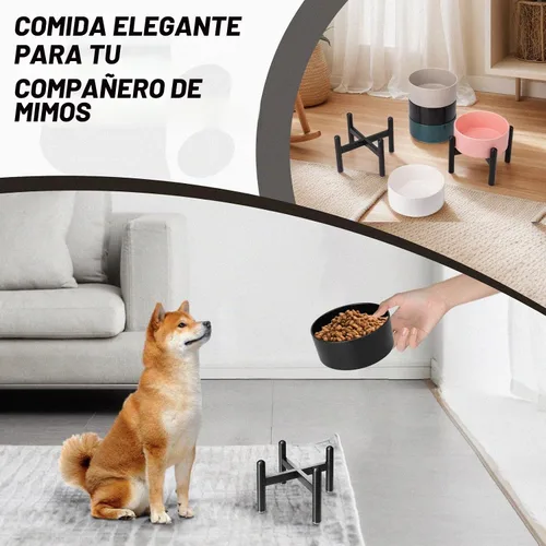 Vista 8 de Juego de cuencos elevados de cerámica para perros con soporte, 2 tazas de Negro