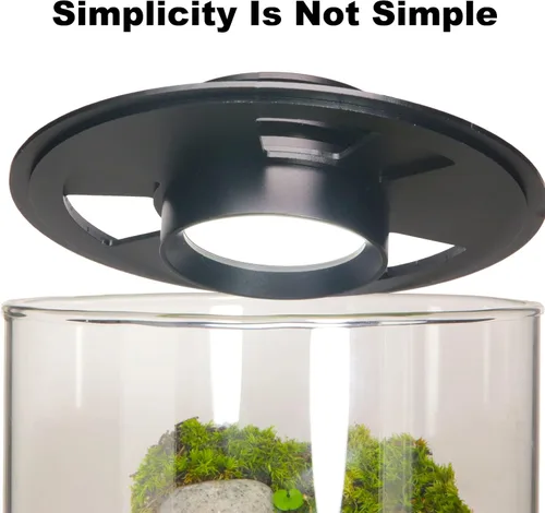 Vista 3 de Terrario de Vidrio de Escritorio con Luz de Crecimiento (Altura: 9.8" Diámetro: 5.9"), para Suculentas, Musgo, Jardinería en Miniatura, Acuario