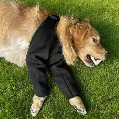 Vista 3 de Dog Elbow Protector Long Sleeve Front Leg Cover Black L Black Waterproof (Pad Upgrade)