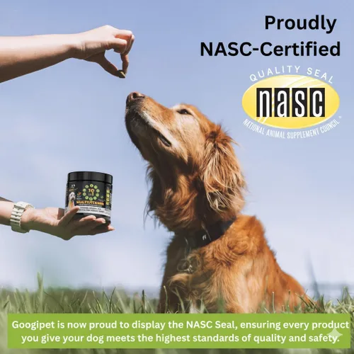 Vista 2 de Googipet - Multivitamínico masticable para perros, vitaminas y suplementos