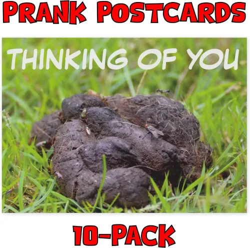 Vista 2 de Crazy Novelty Guy Paquete de 10 tarjetas postales de broma a granel – Divertido pensamiento de caca de perro – Bromas bromas chistes prácticos