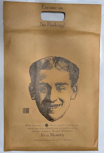 Vista 2 de Trader Joes Mystery - Paquete de tres bolsas de compras reutilizables (3 bolsas en total), 2023, Marrón