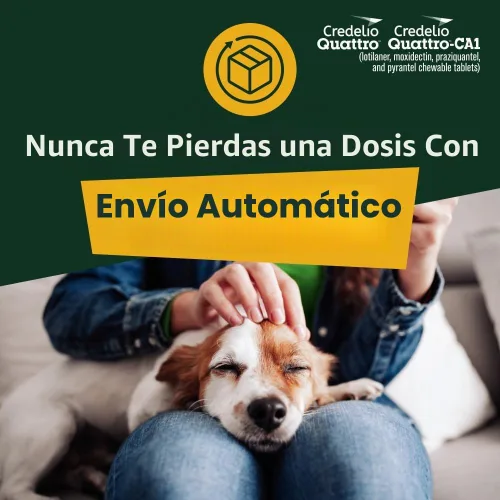 Vista 9 de Credelio Quattro / Credelio Quattro-CA1 para perros 12.1-25 libras, 1