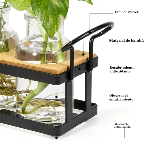 Vista 2 de THYGIFTREE Estaciones de propagación de plantas con soporte de metal, terrario de plantas de mesa para propagación hidropónica, maceta de vidrio