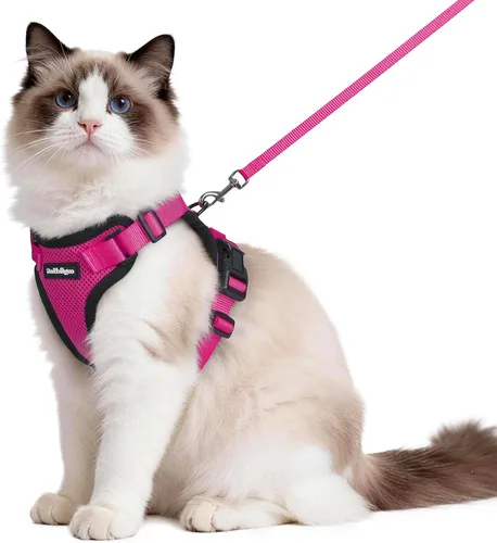 Vista 13 de rabbitgoo Cat Harness and Leash Set, Escape Proof Vest, XXS, Berry Pounce Soft Breathable Mesh, No-choke Adjustable Fit, Snap Buckles, Sturdy