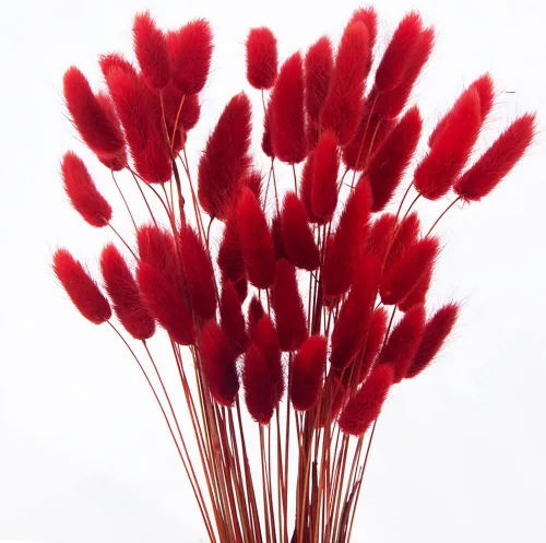 Vista 10 de 60 piezas Flores de Cola de Conejo Secas Hierba Negra de las Pampas Arreglo Floral Natural Seco Flores Secas para Halloween Navidad Decoración Boho