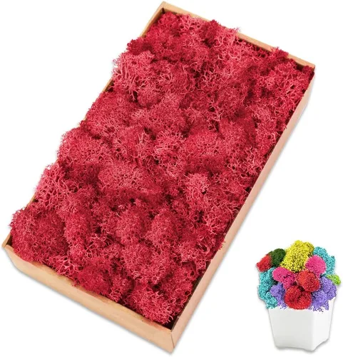 Vista 37 de Musgo de reno azul de 3.5 onzas, musgo preservado para plantas, decoración de musgo, musgo verde para manualidades, musgo para plantas en maceta