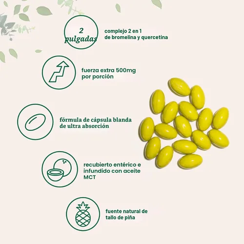 Vista 3 de Bromelina 500 mg con quercetina y aceite MCT, 240 cápsulas blandas con recubrimiento entérico Suplemento de bromelina de ultra absorción Enzimas