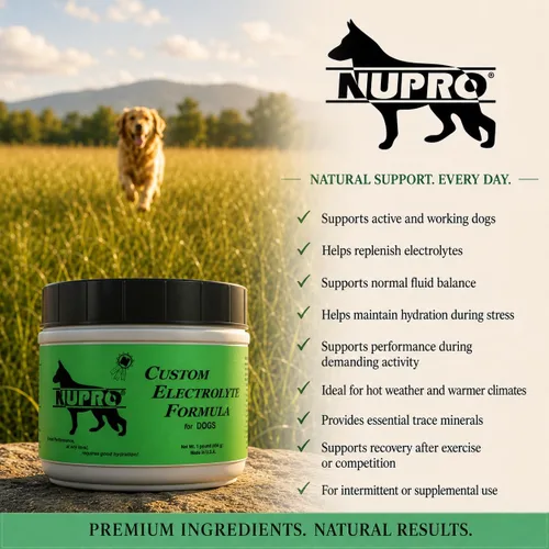 Vista 7 de NUPRO® Electrolitos personalizados para perros, 1 libra