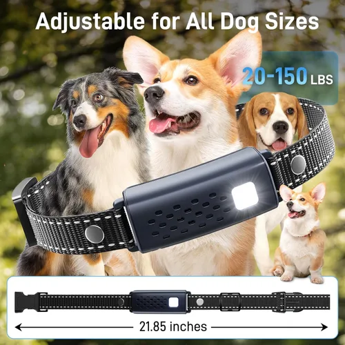 Vista 8 de Collar de entrenamiento para perros – Collar de entrenamiento para perros de 4000 pies con control remoto impermeable, collar electrónico con luz
