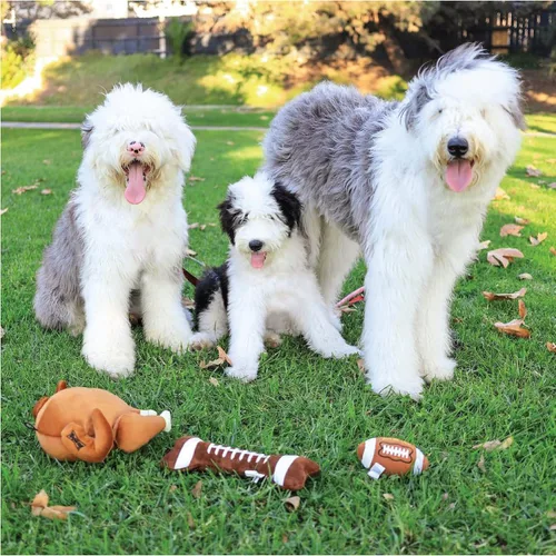 Vista 4 de Huxley & Kent Paquete para perros Hueso de fútbol grande y pajarita de fútbol grande Juguete de peluche para perro y collar de gancho y bucle
