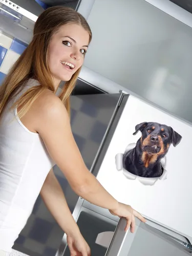 Vista 2 de Winston & Bear Calcomanías divertidas de pared para perros Rottweiler, paquete de 2, calcomanías 3D Rottie para paredes, automóviles, inodoro y más