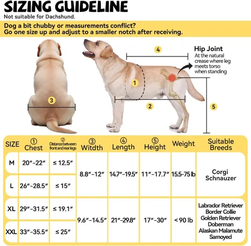 Vista 3 de Silla de ruedas para perros para patas traseras, grande, pequeña, silla de ruedas para perros, carritos ajustables para perros con ruedas para patas