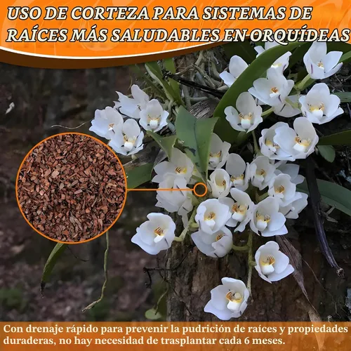 Vista 3 de AVALUTION Corteza para macetas de orquídeas: corteza de orquídea orgánica de 3 cuartos para plantas, todos los chips de madera de corteza de pino