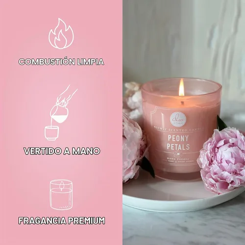 Vista 3 de DW Home Vela perfumada de pétalos de peonía para el hogar, tarro de vela de 9 onzas, 8.8 onzas, hasta 33 horas de combustión, vela perfumada de lujo