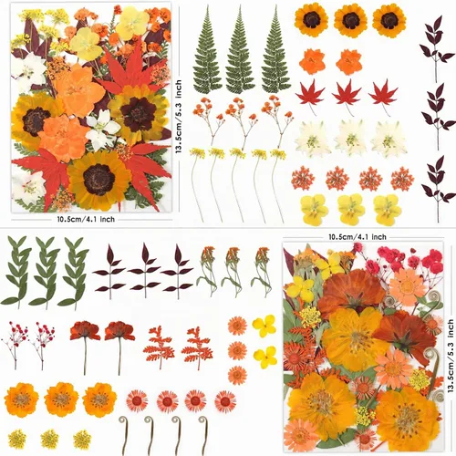 Vista 3 de LUXEEASE 120P Amarillo Naranja Rojo Flores Secas Prensadas Amarillo y naranja 120 piezas