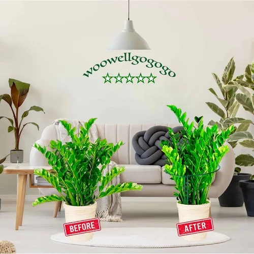 Vista 3 de Estaca de soporte para plantas de serpiente, estaca y soporte de peonía semicircular, jaula de soporte de hortensias resistente, anillo de soporte
