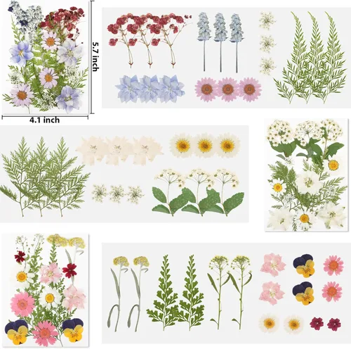 Vista 3 de Flores secas prensadas para resina, 103 piezas de flores secas naturales