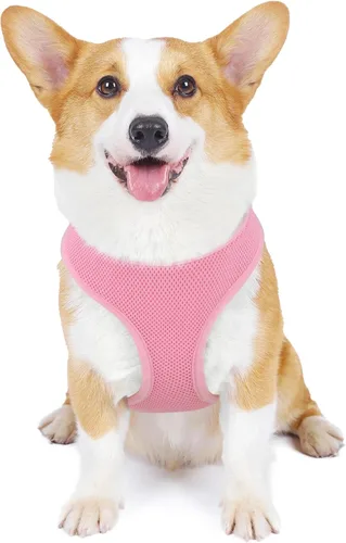 Vista 18 de MoNiBloom Arnés para perro de tamaño pequeño, chaleco acolchado suave para cachorros para caminar, correr, entrenar - negro, XS