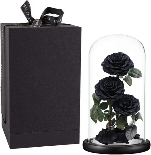 Vista 12 de Rosas preservadas, rosas negras en cúpula de cristal, medianas, flores preservadas para el día de la madre, regalos para mujeres Negro