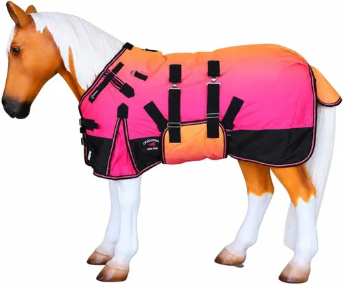 Vista 10 de CHALLENGER 1200D Foal Winter Blanket Miniature Pony Donkey Bellyband Turquoise Rustic Púrpura Rosa Ombre
