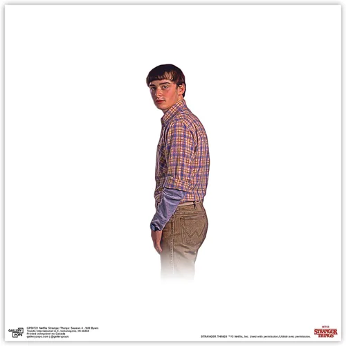 Vista 10 de Gallery Pops Netflix Stranger Things: Season 4 - Arte de pared de Will Byers, versión enmarcada en negro, 12 x 12 pulgadas Versión con marco negro