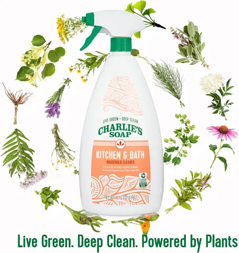 Vista 5 de 32OZ K & B Liq Cleaner