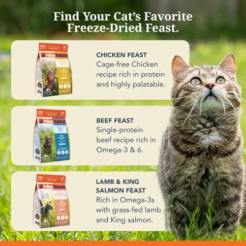Vista 8 de Alimento para gatos seco de alta proteína Feline Natural, dieta liofilizada con 98% de carne, órganos y mariscos, sin guisantes, granos o aditivos