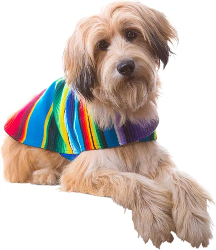 Vista 16 de Poncho de perro hecho a mano de Authentic Mexican Blanket; ropa para perros, suéter, abrigo, XXS