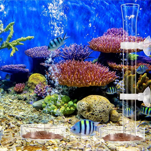 Vista 7 de Chengu Juego de 3 tubos y platos de alimentación de camarones, tubo de alimentación de camarones de vidrio de 8 pulgadas y 2 cuencos de acuario