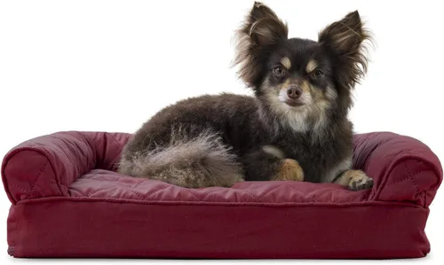 Vista 30 de Furhaven Funda de repuesto para cama de perro, estilo sofá, de pelo sintético y terciopelo, color salvia oscura, talla M