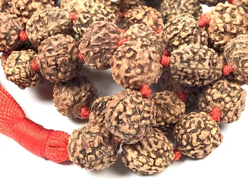 Vista 4 de Rudraksha Mala - Collar de cuentas Rudraksh Japa 5 Mukhi (5 caras) cuentas de oración anudadas a mano, tamaños de 0.236 in, 0.315 in, 0.394 in