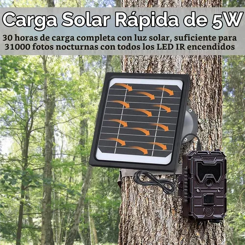 Vista 2 de Panel solar de 5W 12V para cámara de rastro con batería recargable 5200mAh