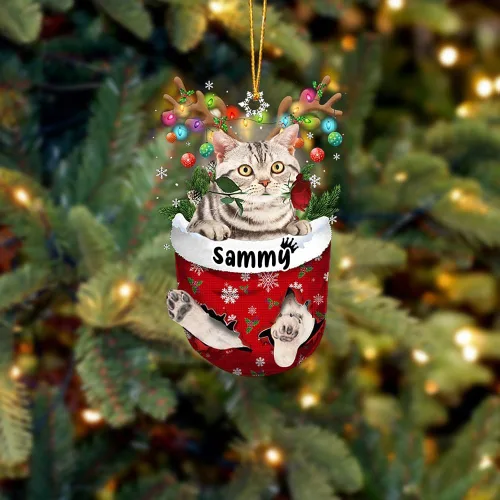 Vista 36 de Adorno personalizado de gato de rizo americano, adorno personalizado con nombre de mascota, colgante acrílico plano impreso en 2D, Papá Noel y gato