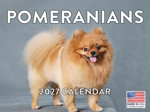 Vista 65 de Calendario mensual de pared Airedale Terrier Dog 2027
