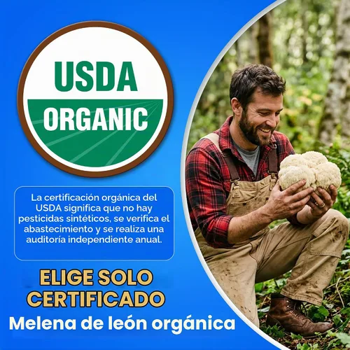 Vista 5 de Melena de león orgánica USDA 50% polisacáridos, 120ct Focus Salud