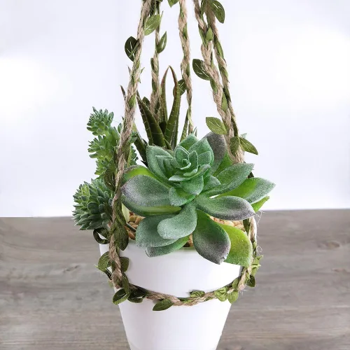 Vista 5 de Supla 5 piezas surtidas de plantas suculentas artificiales sin maceta, pequeños cactus verdes, selecciones de Echeveria, suculentas falsas a granel