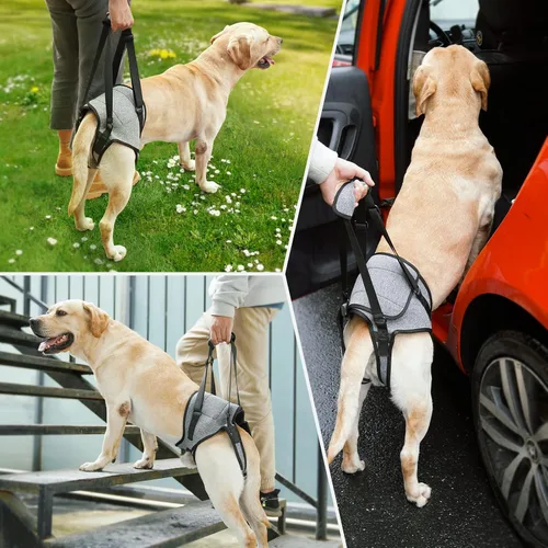 Vista 7 de Arnés de elevación para perros, para perros pequeños, medianos y grandes, arnés de apoyo para patas traseras, arnés acolchado suave ajustable